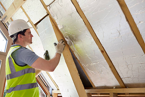 Best Eco-Friendly or Green Insulation Solutions  in Oakland, MO